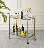Aditya Mirrored & Antique Brass Finish Serving Cart - SolidRoot Buy Furniture USA