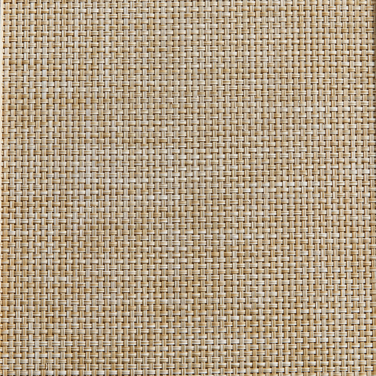 23067503