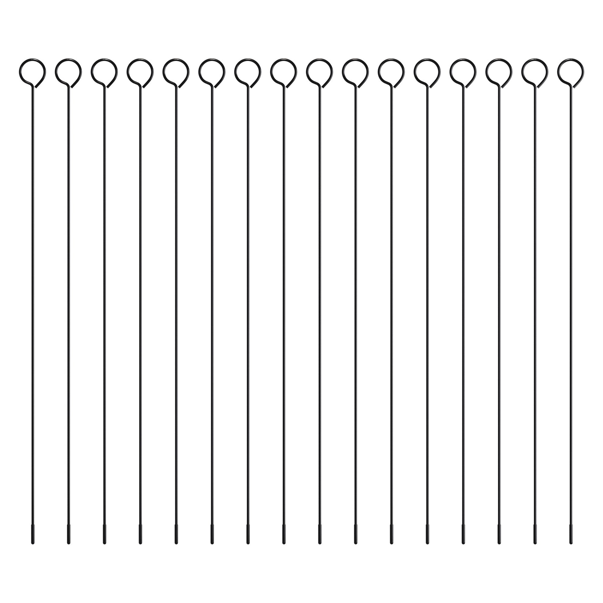 23170748