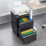 [requires assembly] Office Storage Cabinet, 2 Drawers File Cabinet With Lock Metal Vertical File Cabient With Wheels Mobile File Cabinet For Office Home Legal/Letter/a4 Size - SolidRoot Buy Furniture USA