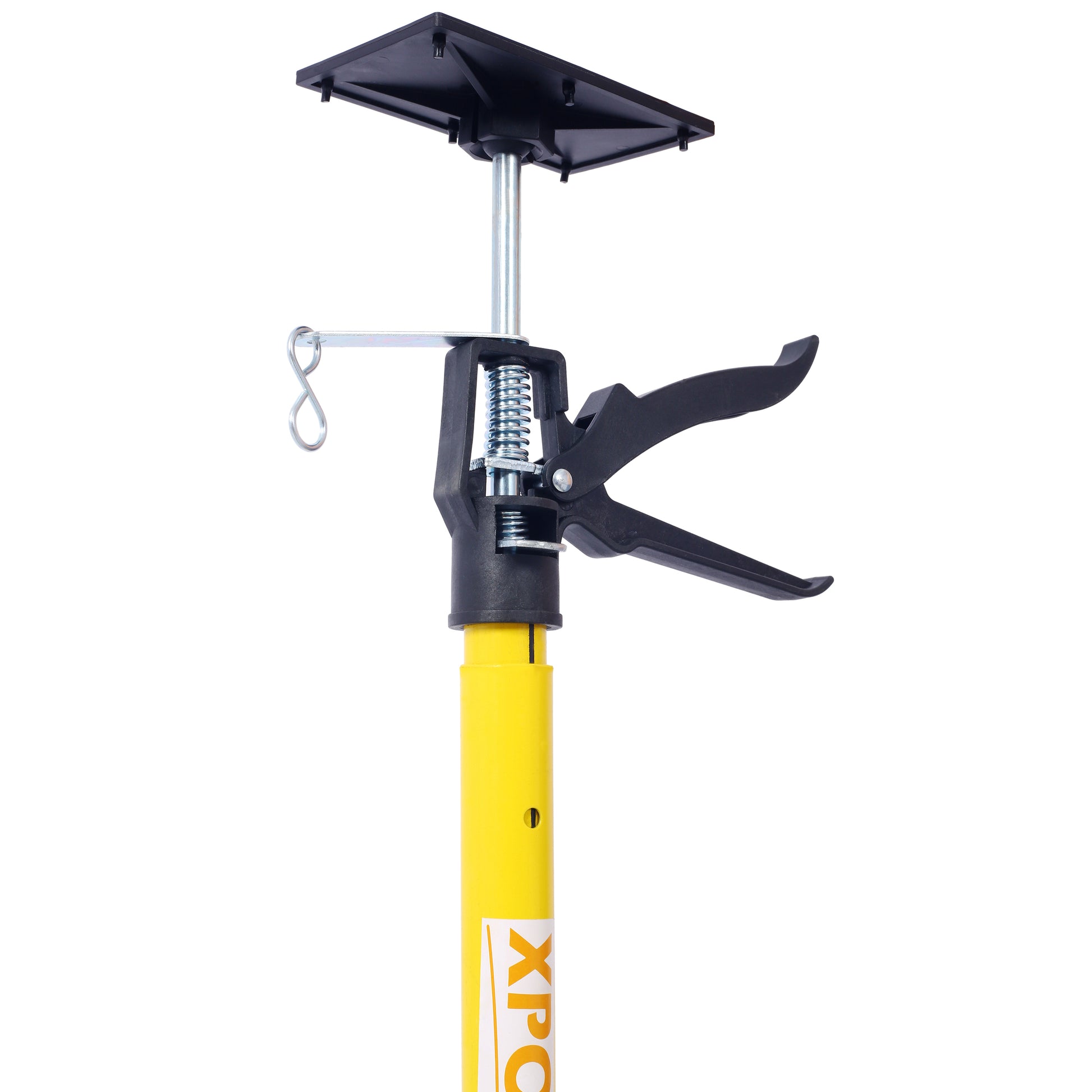 22934888